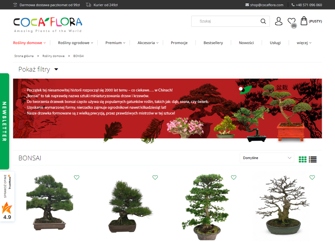 Gotowe bonsai czy samodzielne formowanie – które rozwiązanie sprawdzi się lepiej?